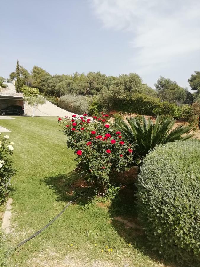 Dimitra Ξενοδοχείο Ραφήνα Εξωτερικό φωτογραφία