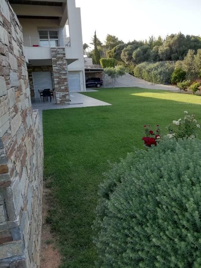 Dimitra Ξενοδοχείο Ραφήνα Εξωτερικό φωτογραφία