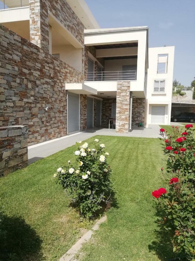 Dimitra Ξενοδοχείο Ραφήνα Εξωτερικό φωτογραφία