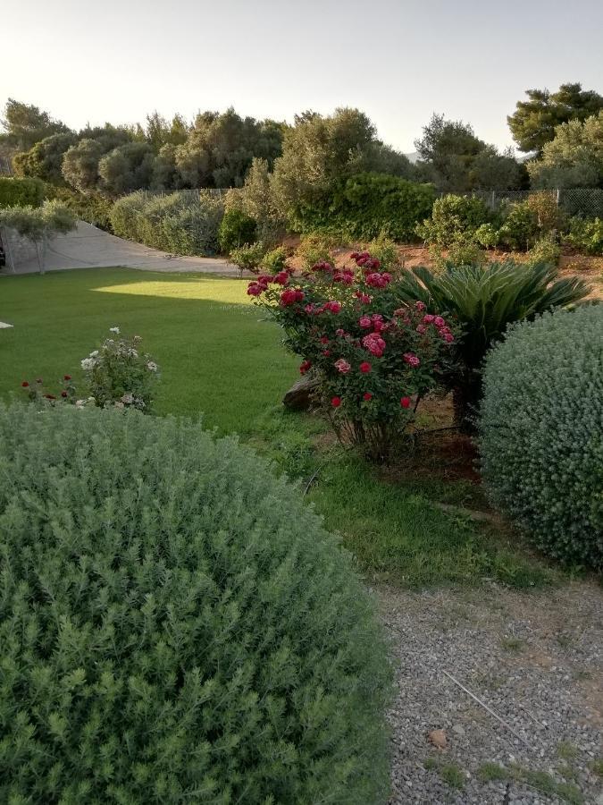 Dimitra Ξενοδοχείο Ραφήνα Εξωτερικό φωτογραφία